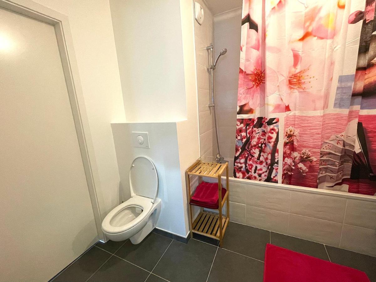 Le Nid Douillet D'Annecy Appartement Buitenkant foto